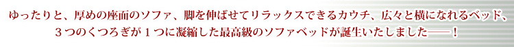 「3つのくつろぎに出会える」カウチソファベッド【solo】ソロ1.5P