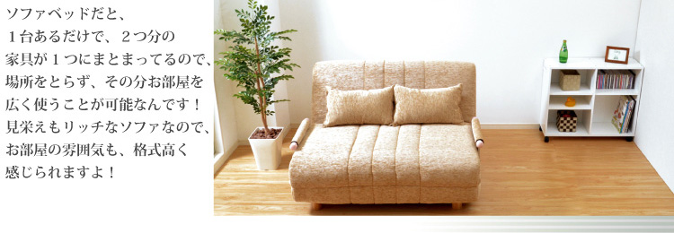 「3つのくつろぎに出会える」カウチソファベッド【solo】ソロ1.5P
