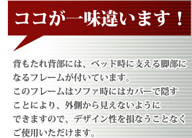 「3つのくつろぎに出会える」カウチソファベッド【solo】ソロ1P