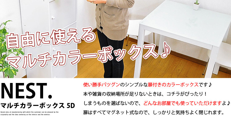 マルチカラーボックス5D【NEST.】