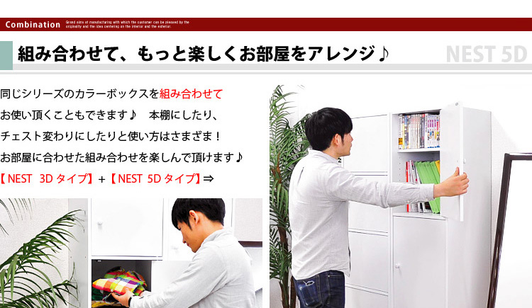 マルチカラーボックス5D【NEST.】