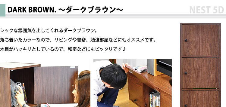 マルチカラーボックス5D【NEST.】