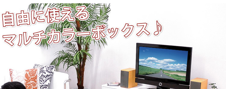 マルチカラーボックス5D【NEST.】