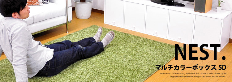 マルチカラーボックス5D【NEST.】