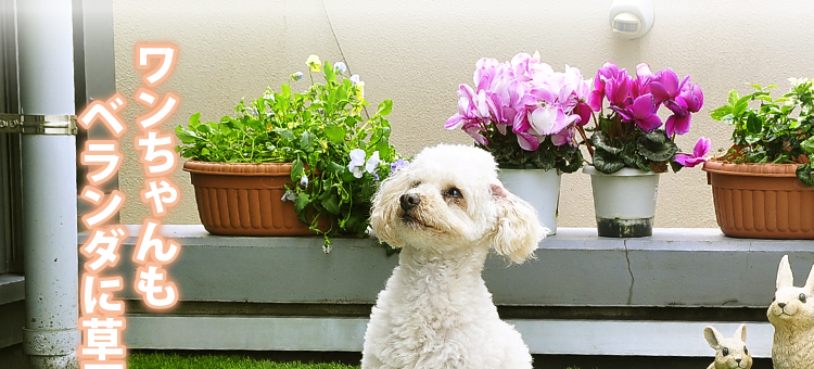 ジョイント式人工芝パネルタイプ【30ｘ30cm】10枚セット