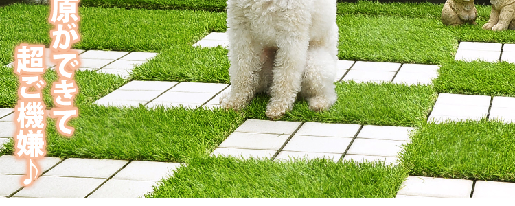 ジョイント式人工芝パネルタイプ【30ｘ30cm】10枚セット