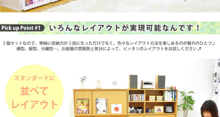 フラップラック2個セット