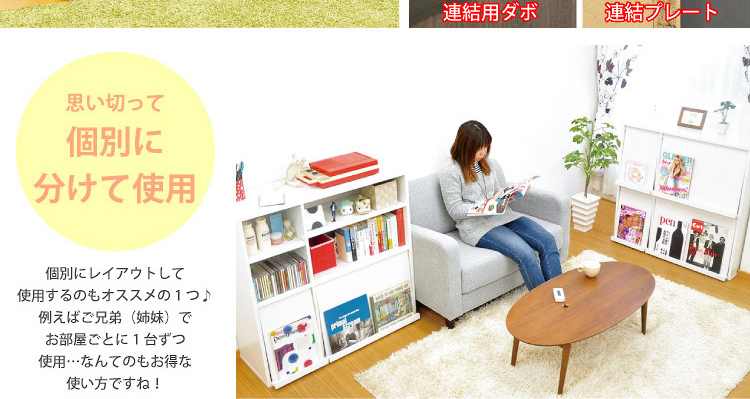 フラップラック2個セット