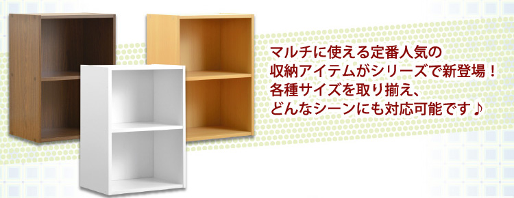 カラーボックスシリーズ【kara-baco2】2段