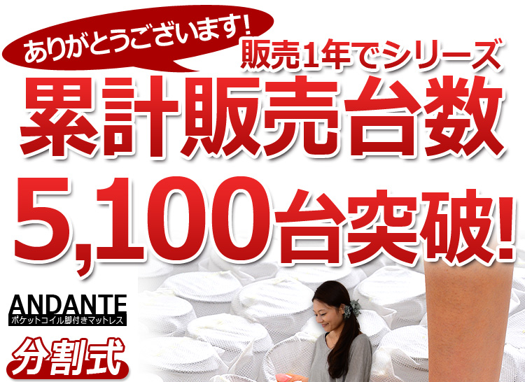 分割式 ポケットコイル脚付きマットレスベッド【アンダンテ】（ダブル）