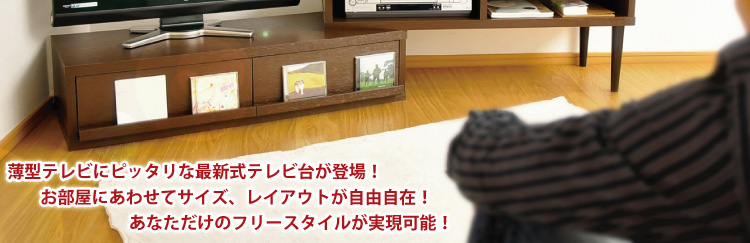 完成品_伸縮テレビ台【エル】