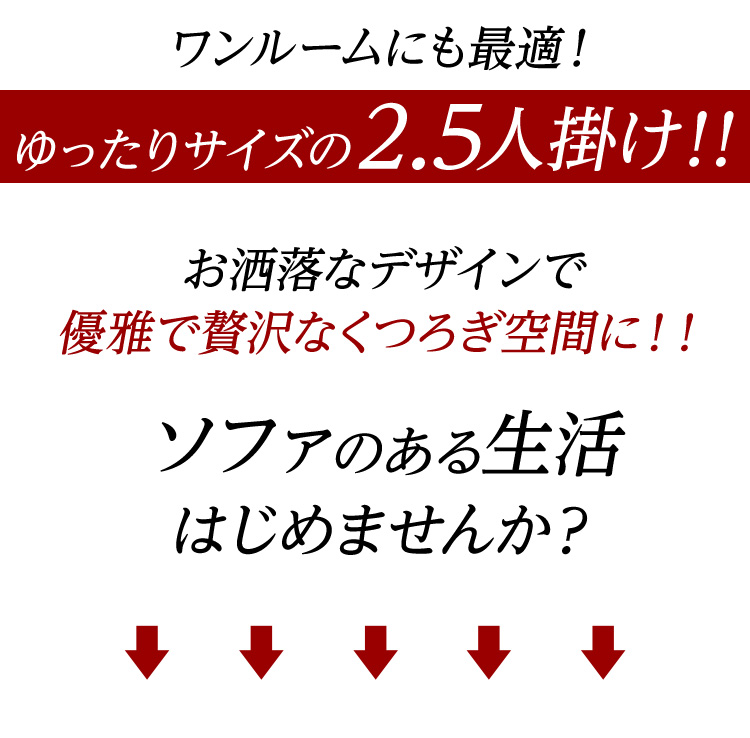 2.5人掛けスタイリッシュソファ【-Nelke-ネルケ】