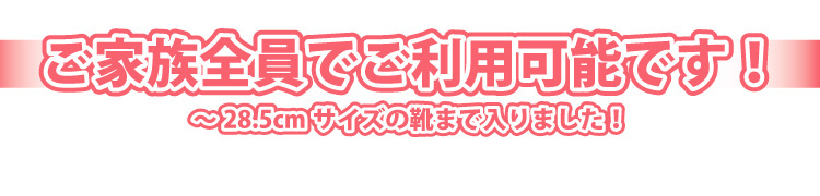 フラップ式シューズボックス【Patan】