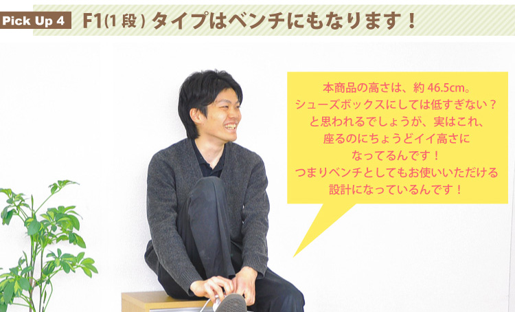 フラップ式シューズボックス【Patan】