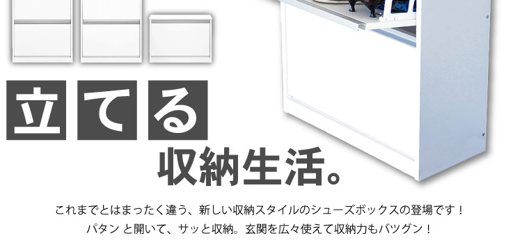 フラップ式シューズボックス【Patan】