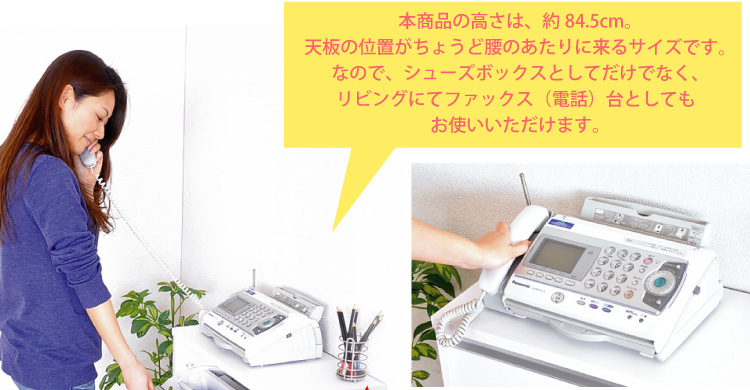 フラップ式シューズボックス【Patan】